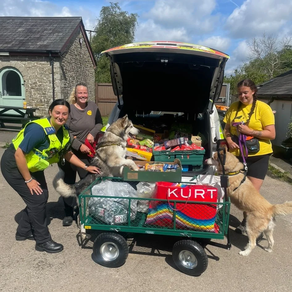 Rescue volunteers with dogs and donated supplies